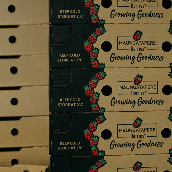 Growing Goodness boxes
