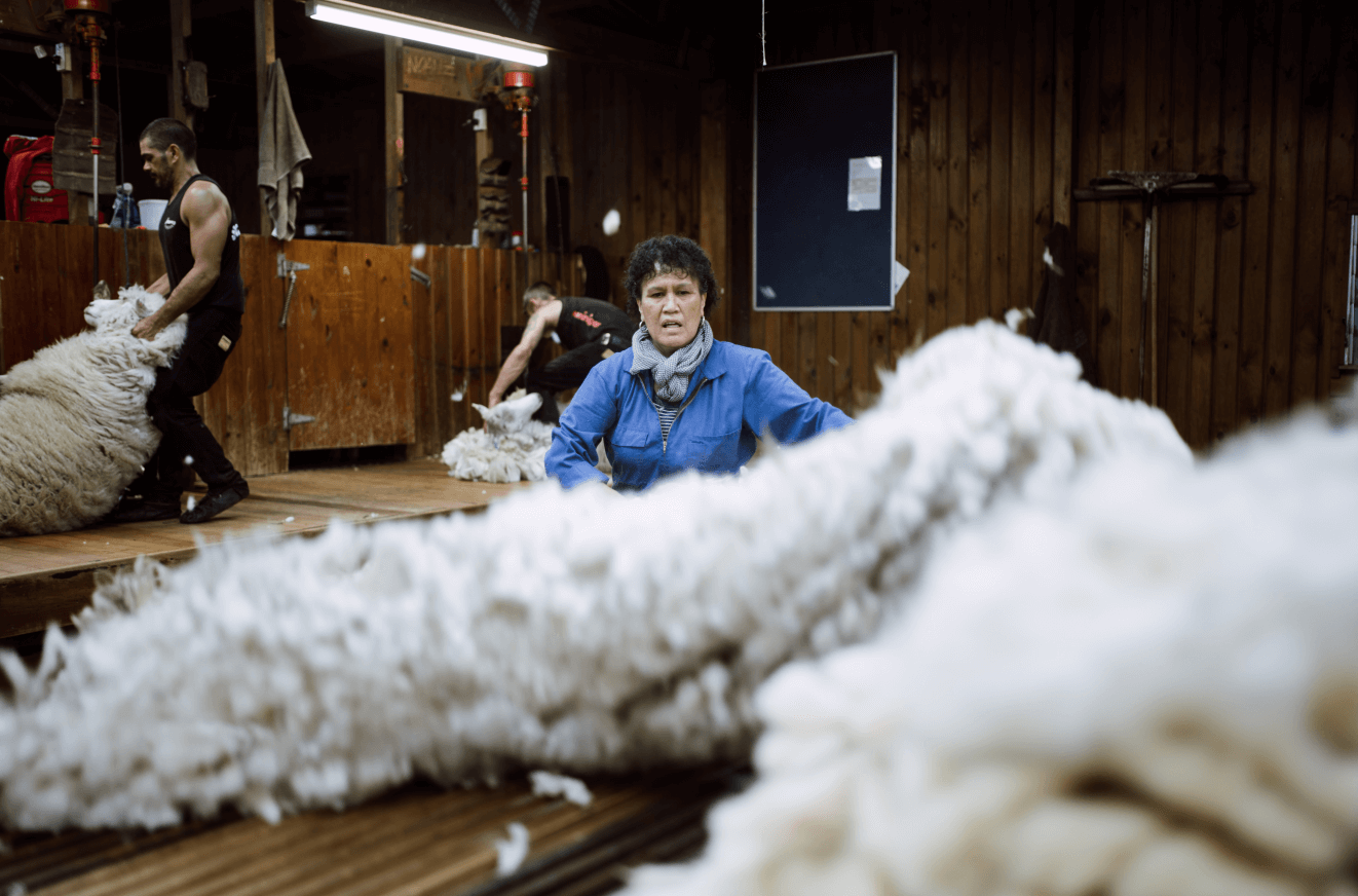 Wool-handler Esther Kidd is sorting out a fleece on a table during shearing in the woolshed.