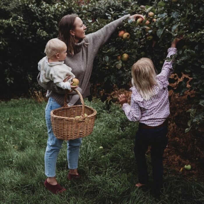 Woman picking apples from a tree with her two young children.