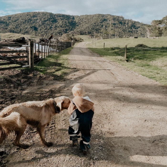A toddler and a dog walk down a country path